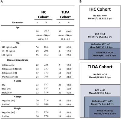 Regulatory and memory T lymphocytes infiltrating prostate tumors predict long term clinical outcomes